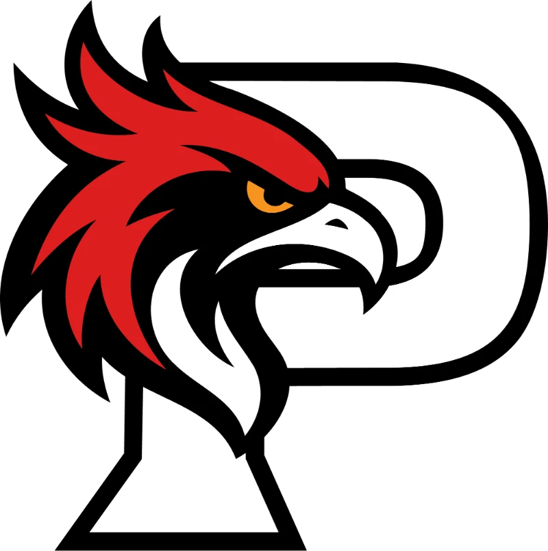 Logo cerné · Fond clair, sombre ou photo