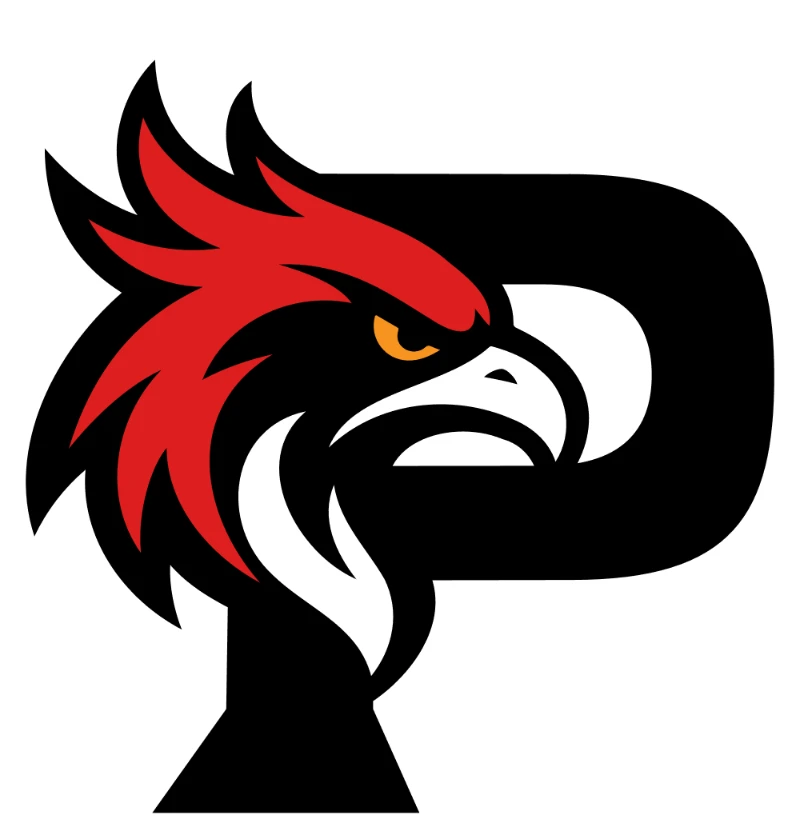 Logo principal · Fond sombre